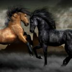 All Horse Sounds Ringtones Download